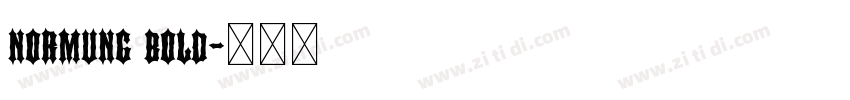 normung bold字体转换
